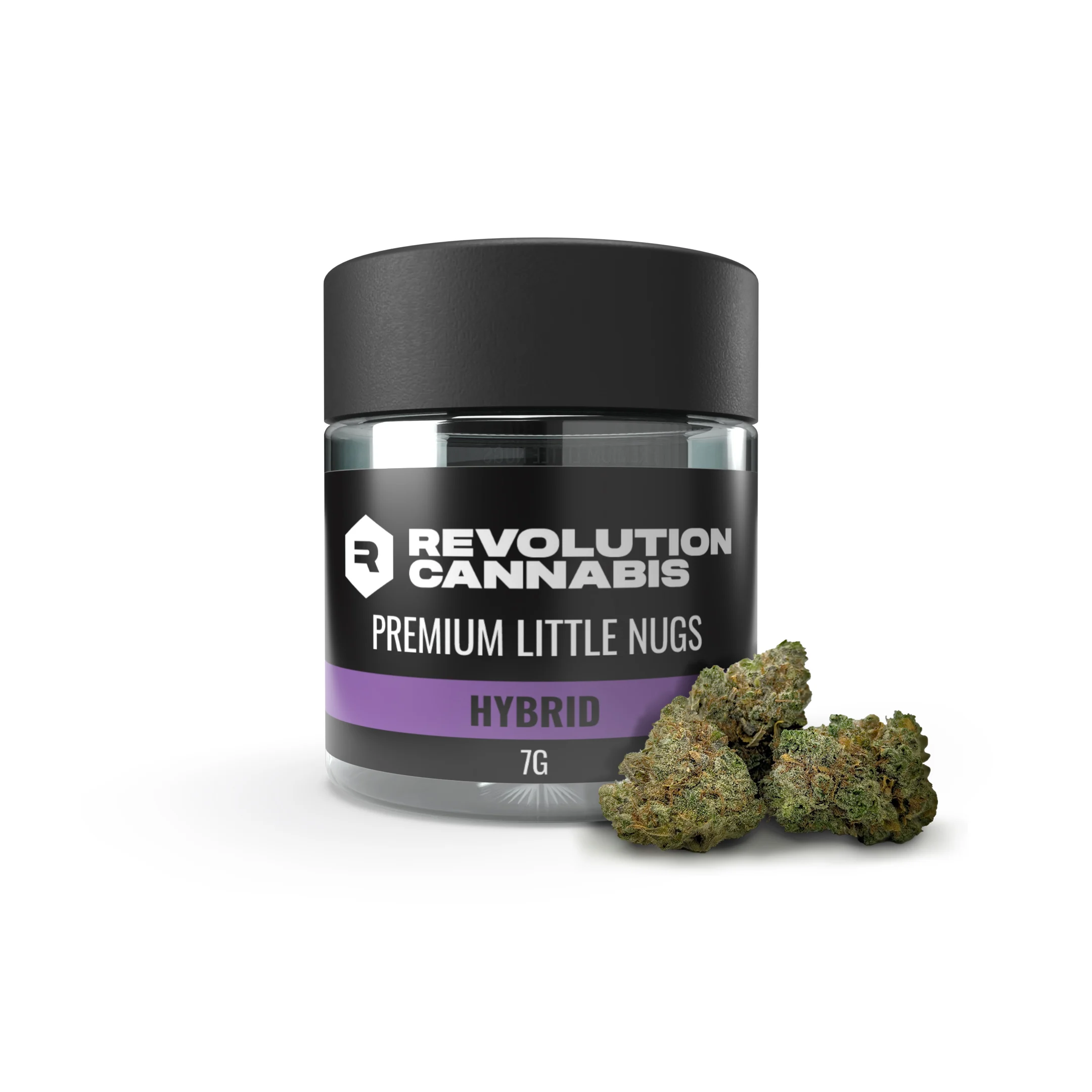 Blueberry Revolution