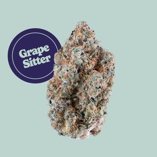 Grape Sitter Kind Tree