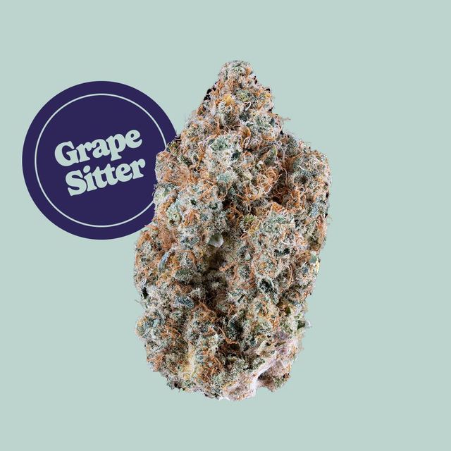 Grape Sitter Kind Tree