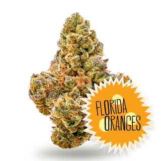 Florida Oranges District Cannabis