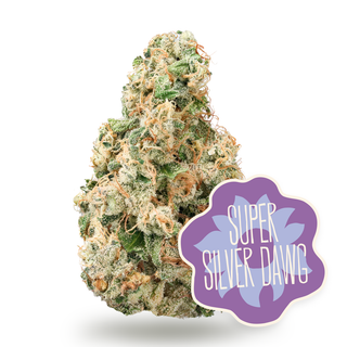Super Silver Dawg District Cannabis