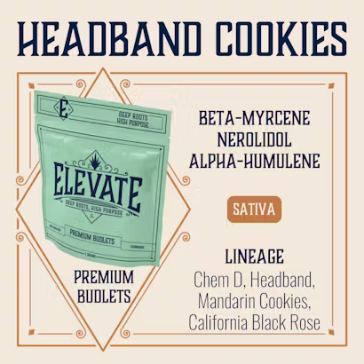 Headband Cookies Elevate Headband Cookies Elevate