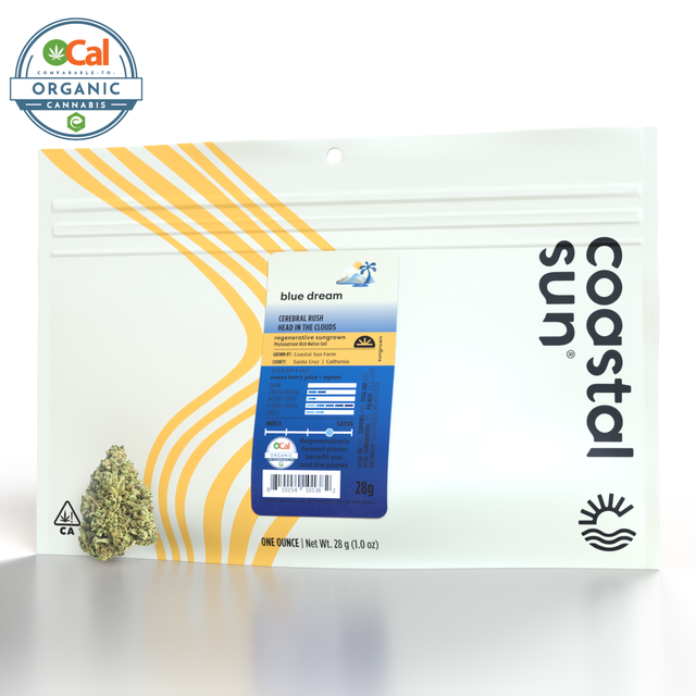 Blue Dream Coastal Sun