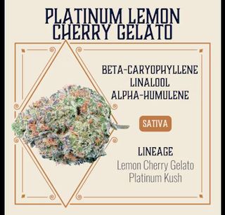 Platinum Lemon Cherry Gelato Elevate Platinum Lemon Cherry Gelato Elevate