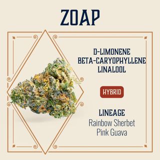 Zoap Elevate