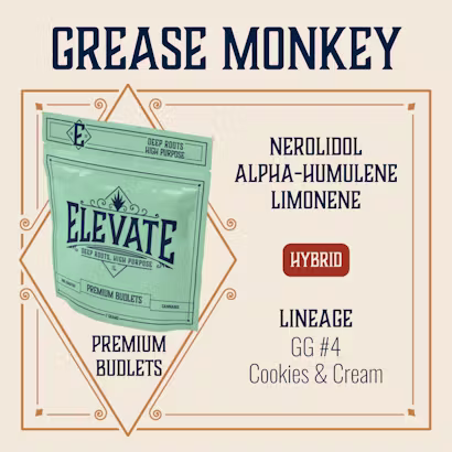 Grease Monkey Elevate