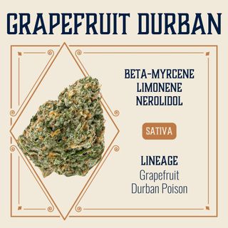 Cannabis Promo, Cannabis Sales, Cannabis Discounts, Cannabis on Sale, 40% Elevate 7g Popcorn 2
