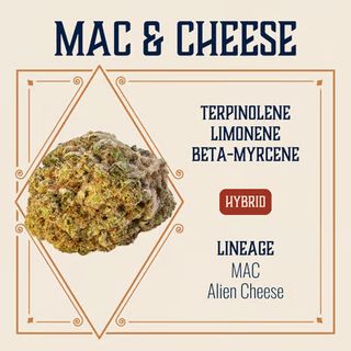 Cannabis Promo, Cannabis Sales, Cannabis Discounts, Cannabis on Sale, 40% Elevate 7g Popcorn 1