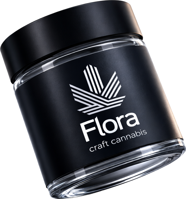 Disco Fries Flora
