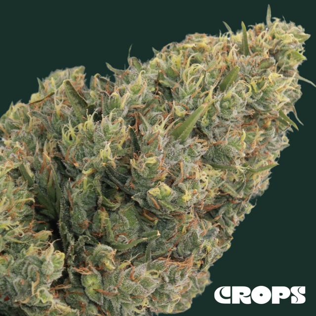 Lime OG Crops Lime OG Crops