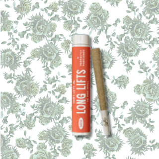 Fresh Powder Swift Lifts