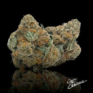 Minty Blizzard (the) Essence