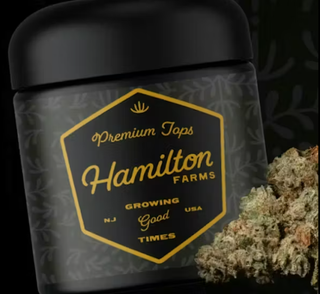 Block Berry | 3.5g Flower Hamilton Farms