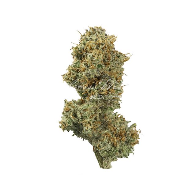 MK Ultra Black Ops Grow West