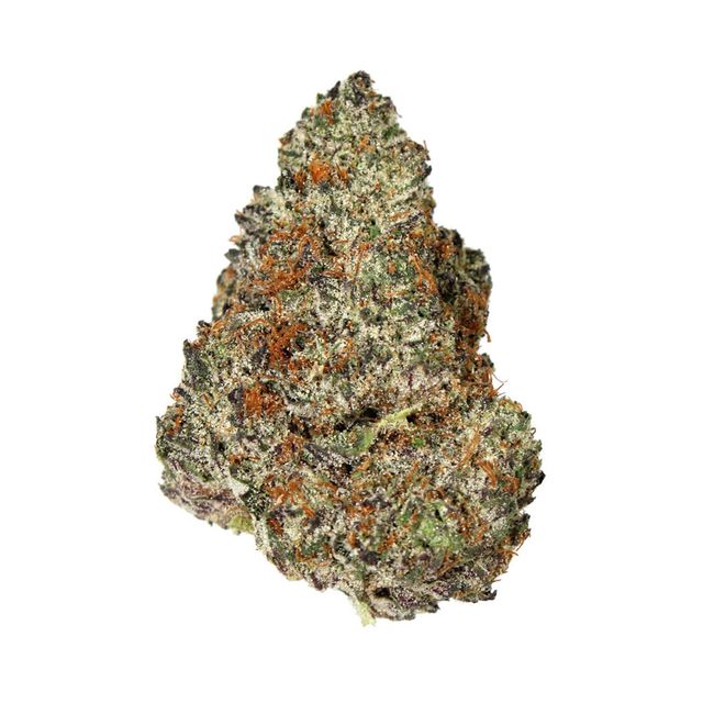 Locals Only Green Dragon (CO)