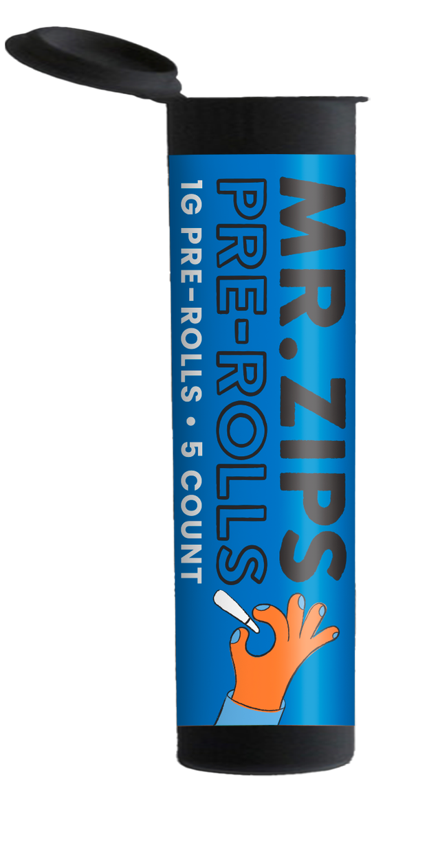 Space Rocks 5-Pack Mr. Zips