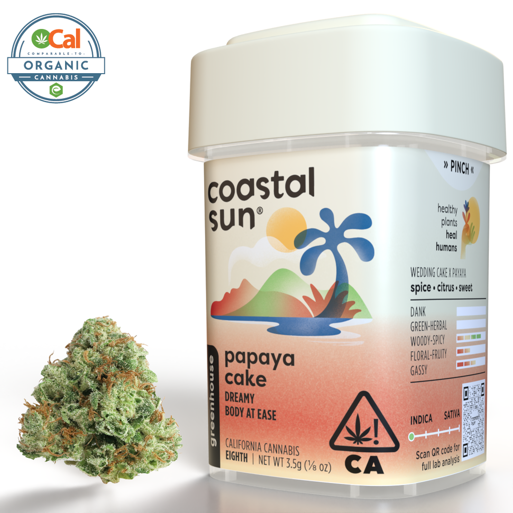 Coastal Sun: Papaya Cake