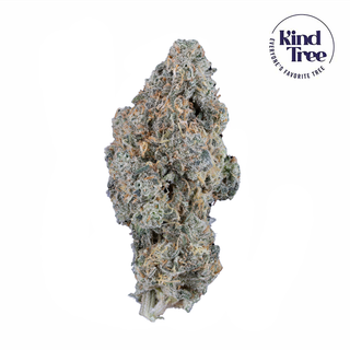 Durban Poison Kind Tree