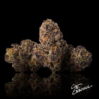 Yuzu Sour (the) Essence