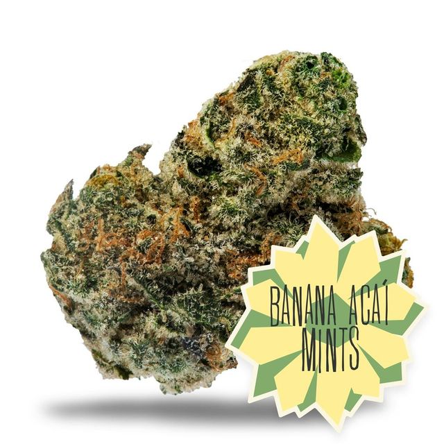 Banana Acai Mints District Cannabis