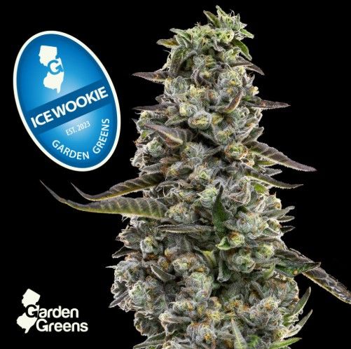 Ice Wookie Garden Greens