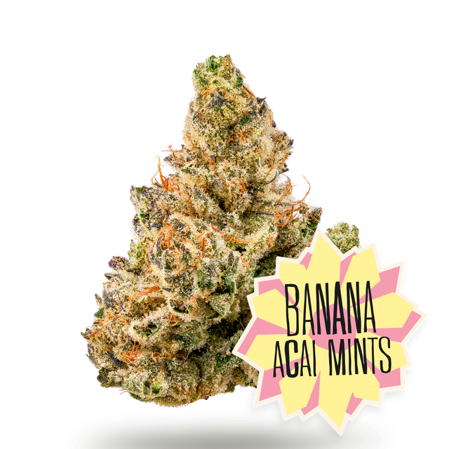 Banana Acai Mints District Cannabis