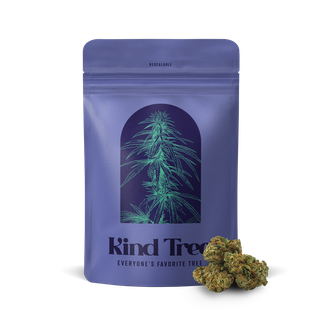 Dino Bites Kind Tree