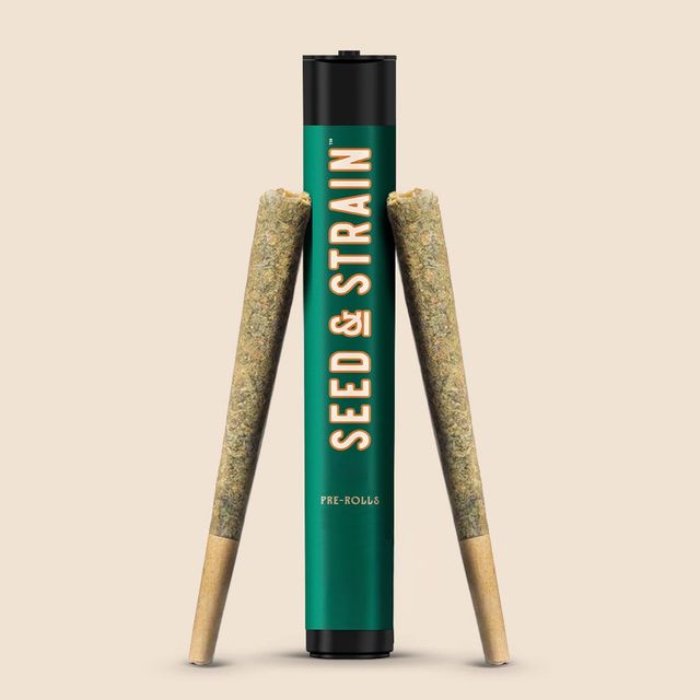 Sour Tangie  Seed & Strain