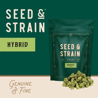 MAC V2 Seed & Strain