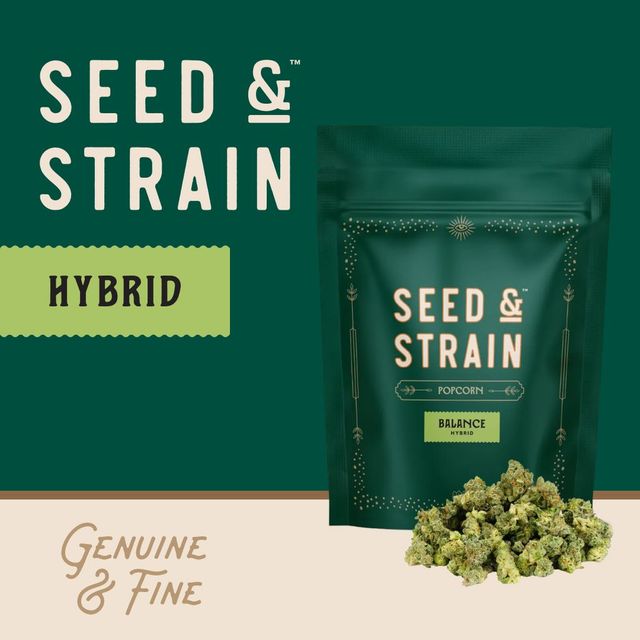 MAC V2 Seed & Strain