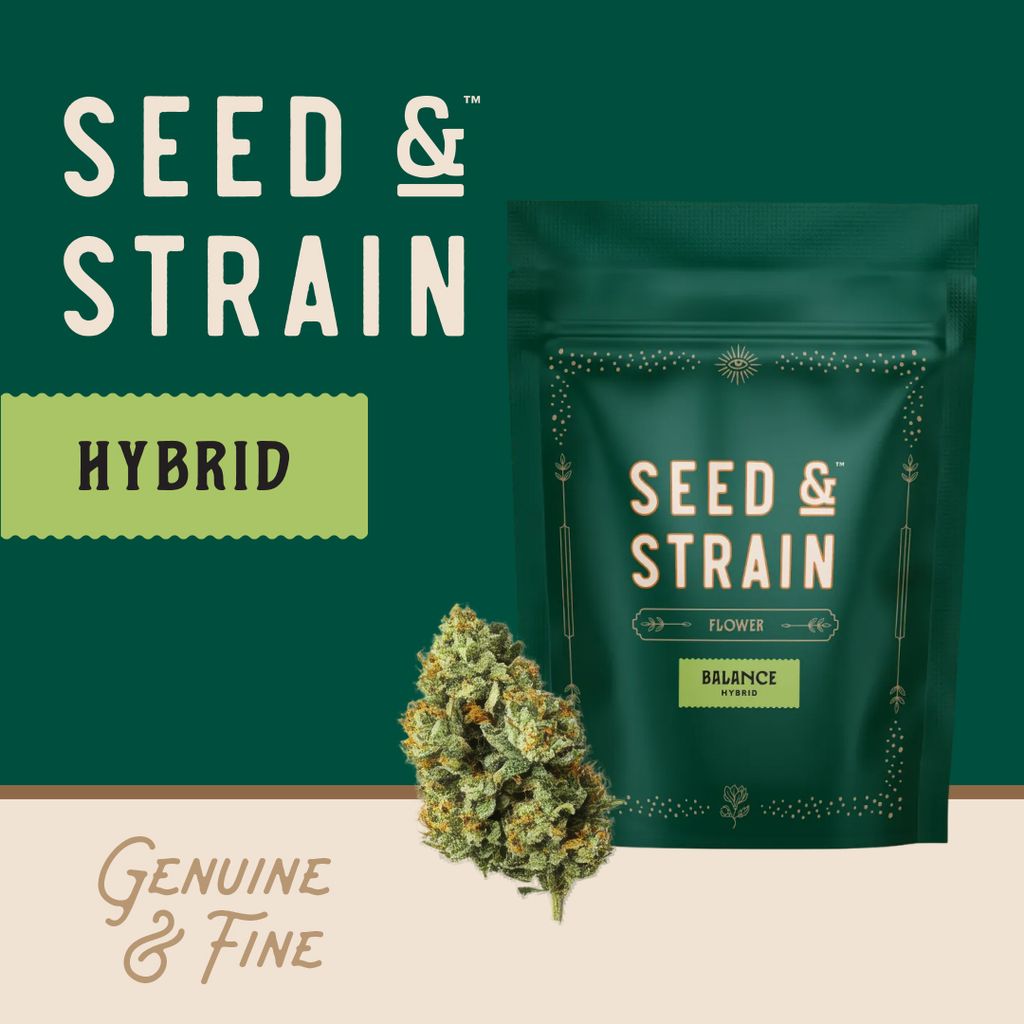 Seed & Strain Sunshine Daydream Buds 3.5g