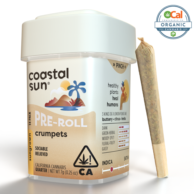 Crumpets 14-Pack Coastal Sun