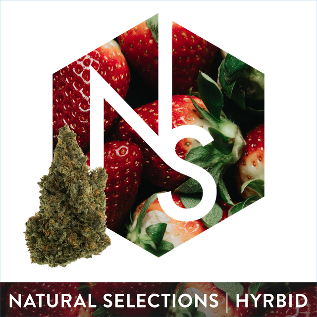 Strawberry Chocolate Natural Selections