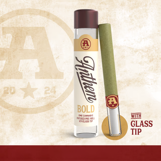 Bold - Jet Fuel Glass Tip Anthem