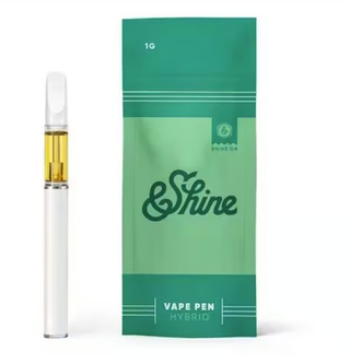 Apple Fritter &Shine