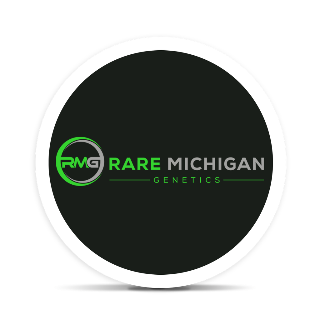 Rare Michigan Genetics Macinawe Deli Style Flower, 1g - image 2