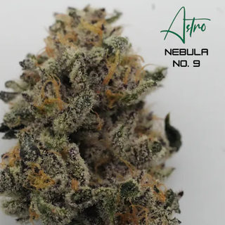 Nebula No. 9 | 3.5g Flower Astro (Shnicks Shnacks)