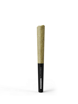 Suit and Tie Modern Flower