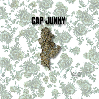 Cap Junky Galaxy Labs