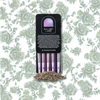 Sugar Shack 3  Galaxy Labs