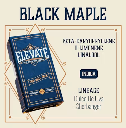 Black Maple Pins Elevate