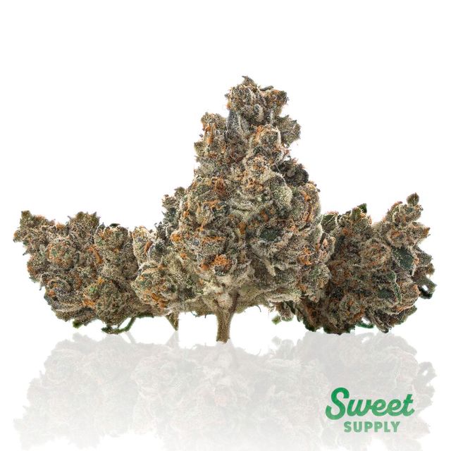 Grape Mint Gas Sweet Supply
