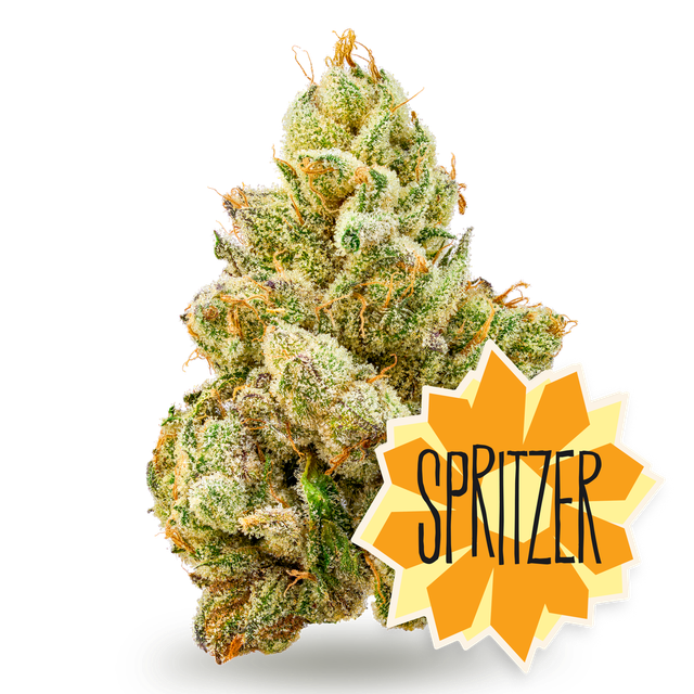 Spritzer District Cannabis