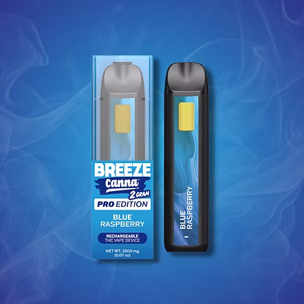 Blue Raspberry Breeze Canna