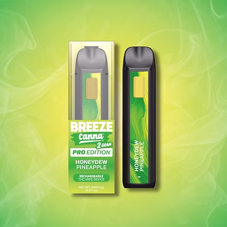 Honeydew Pineapple Breeze Canna