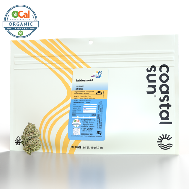 Bridesmaid Coastal Sun