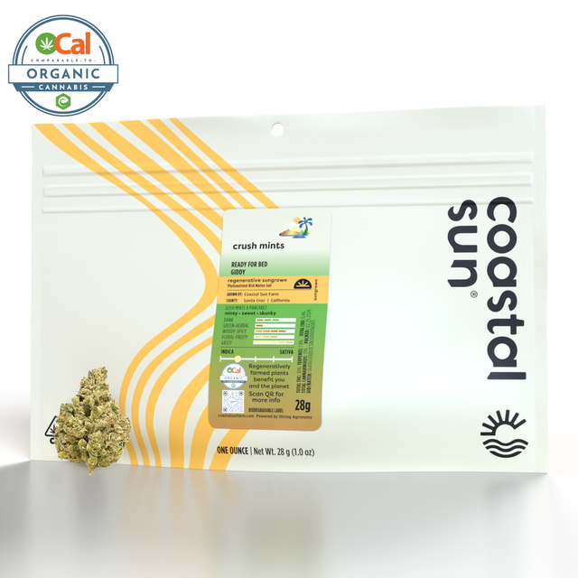 Crush Mints Coastal Sun
