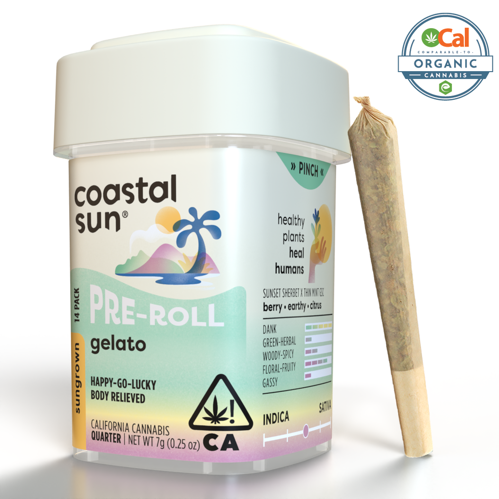 Coastal Sun: Gelato