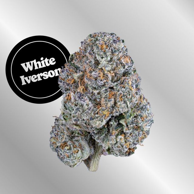 White Iverson Kind Tree