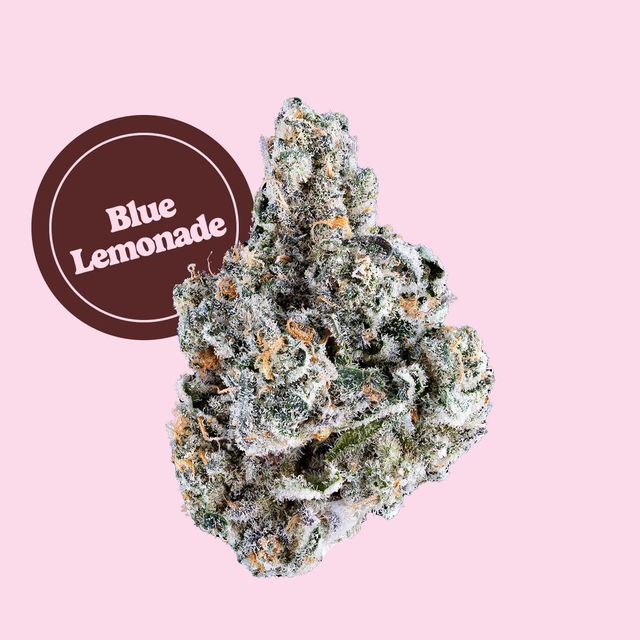 Blue Lemonade Kind Tree Blue Lemonade Kind Tree